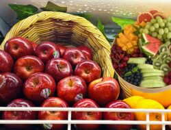 10 Buah-Buahan Ini Baik Untuk Kesehatan Kulit