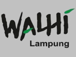 WALHI Lampung Berencana Gugat Dan Laporkan Walikota Beserta Pemkot Bandar Lampung Ke Komnas HAM Karena Banjir