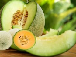 10 Manfaat Buah Melon Bagi Kesehatan