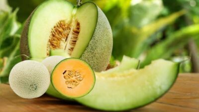 10 Manfaat Buah Melon Bagi Kesehatan