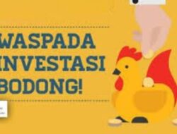 Apa yang Harus Dilakukan Jika Terkena Jerat Investasi Online Bodong?