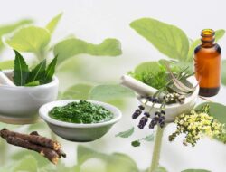5 Tanaman Obat Ini Sebaiknya Tersedia Di Rumah