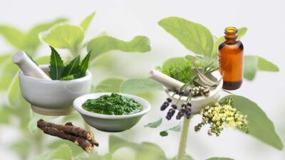 5 Tanaman Obat Ini Sebaiknya Tersedia Di Rumah