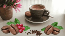 Penyelamatan Kopi Temanggung : Mungkinkah Bertumpu Pada Koperasi Merah Putih?