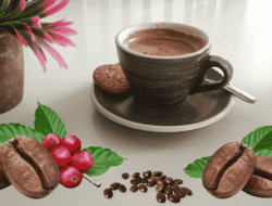 Penyelamatan Kopi Temanggung : Mungkinkah Bertumpu Pada Koperasi Merah Putih?