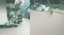 Drainase Mampet, Pemukiman Warga Di RT 02/02 Dusun C Desa Hanura Terendam Banjir