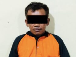Polsek Padang Ratu Ungkap Kasus Pencurian Buah Sawit, Seorang Warga Diamankan