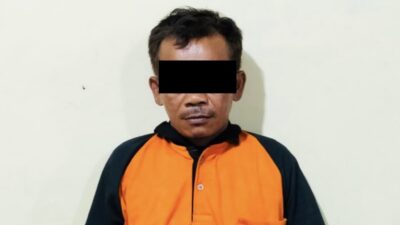 Polsek Padang Ratu Ungkap Kasus Pencurian Buah Sawit, Seorang Warga Diamankan