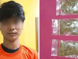 Miliki 5,65 Gram Tembakau Sintetis, Remaja Ini Ditangkap Polisi