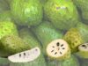 7 Manfaat Buah Sirsak Untuk Kesehatan Yang Menakjubkan