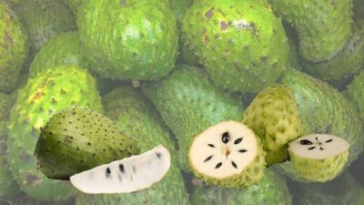 7 Manfaat Buah Sirsak Untuk Kesehatan Yang Menakjubkan