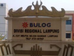 Bulog Lampung Dorong Penyerapan Jagung, Petani Diminta Perhatikan Kualitas