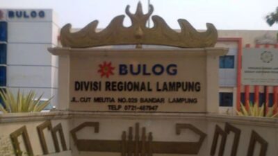 Bulog Lampung Dorong Penyerapan Jagung, Petani Diminta Perhatikan Kualitas