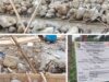 LSM Sadar Hukum : Proyek CV Adi Jaya Di Way Ratai Diduga Langgar UU Minerba, Gunakan Batu Dari Tambang Tak Berizin