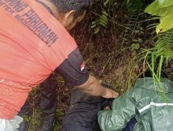 Gadis Hilang Di Padang Pariaman Ditemukan Selamat Di Jurang Belakang Rumah