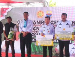 Mentan Amran Dorong Produksi Padi Jambi, Target Ekspor Ke Negara Tetangga