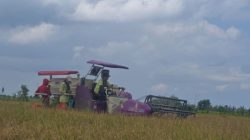 Alsintan Modern Permudah Petani Sumedang, Panen Padi Lebih Cepat Dan Efisien