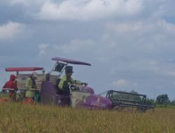 Alsintan Modern Permudah Petani Sumedang, Panen Padi Lebih Cepat Dan Efisien