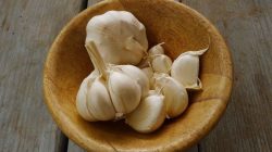 Bawang Putih : Si Umbi Ajaib Penjaga Kesehatan Sejak Zaman Kuno