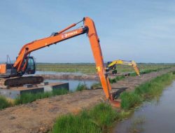 Kementan Genjot Rehabilitasi Irigasi, Wujudkan Merdeka Air Bagi Petani