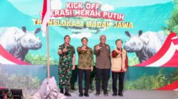 Pemerintah Mulai Operasi Merah Putih : Translokasi Badak Jawa