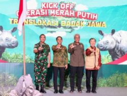 Pemerintah Mulai Operasi Merah Putih : Translokasi Badak Jawa