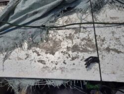 Polisi Tangkap 4 Pelaku Pencurian Di Gudang Polisi Tangkap 4 Pelaku Pencurian Di Gudang PTPN I Regional 7 Kebun Kedaton