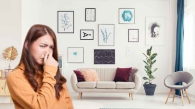 10 Cara Efektif Mengusir Bau Tak Sedap Di Ruang Tamu