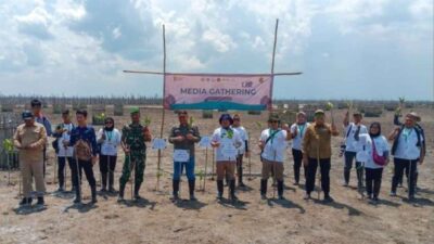 Kemenhut Gencarkan Rehabilitasi Mangrove M4CR Di Riau