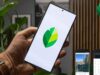 Aplikasi Snapseed : Raja Editor Foto Mobile Yang Masih Tak Terkalahkan