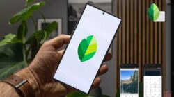 Aplikasi Snapseed : Raja Editor Foto Mobile Yang Masih Tak Terkalahkan