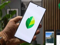 Aplikasi Snapseed : Raja Editor Foto Mobile Yang Masih Tak Terkalahkan