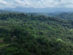 Pertama Kali Dikunjungi Menteri, Hutan Adat Kampung Kuta: Sakral, Lestari, Dan Menyejahterakan
