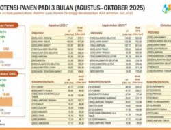 Panen Raya di 10 Propinsi, Pasokan Beras Nasional Sangat Aman Dan Terkendali
