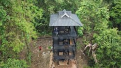 JRSCA, Habitat Asli Badak Jawa : Translokasi Di Dalam Kawasan Taman Nasional Ujung Kulon
