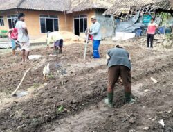 FPPJ Gulirkan Program Ketahanan Pangan Di Pekarangan Rumah