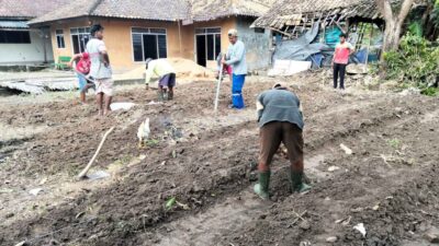 FPPJ Gulirkan Program Ketahanan Pangan Di Pekarangan Rumah