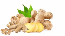 Jahe, Si Rempah Ajaib yang Menghangatkan dan Menyehatkan Tubuh Kita