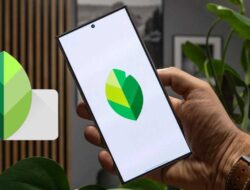 Snapseed: Aplikasi Edit Foto Powerhouse di Genggaman Anda