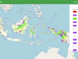 Kementerian Kehutanan Dorong Transformasi Digital Informasi Kawasan Hutan Yang Inklusif Dan Responsif