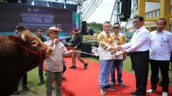 Dalam Festival Sapi APPSI di Jember, Mentan Amran Dorong Kemandirian Daging Nasional