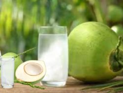 Air Kelapa Muda: Minuman Alami Penuh Manfaat untuk Kesehatan dan Kecantikan