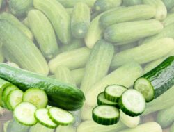 Ini 8 Manfaat Timun bagi Kesehatan