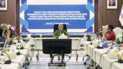 Kemen PPPA Dorong Percepatan Aturan Pelaksana UU KIA