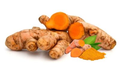 Ini Manfaat Kunyit untuk Kesehatan Pencernaan Kita Yang Jarang Diketahui