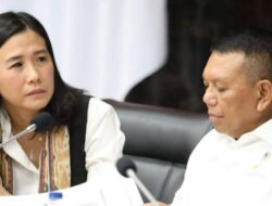 Wamen PPPA Dukung Revisi Perpres Gugus Tugas Pornografi untuk Lindungi Anak dari Kejahatan Digital