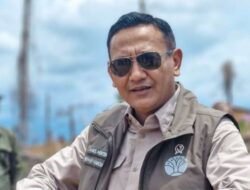 Wamenhut Tinjau Koridor Gajah Seblat, Tegaskan Komitmen Pemerintah Selamatkan Habitat Gajah Sumatera