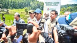 Kemenhut Lakukan Pelepasliaran Elang Jawa di TNGGP