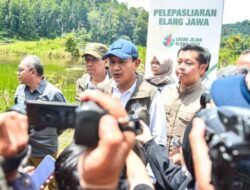 Kemenhut Lakukan Pelepasliaran Elang Jawa di TNGGP