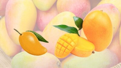 Ini 6 Manfaat Buah Mangga untuk Kesehatan yang Jarang Kita Sadari